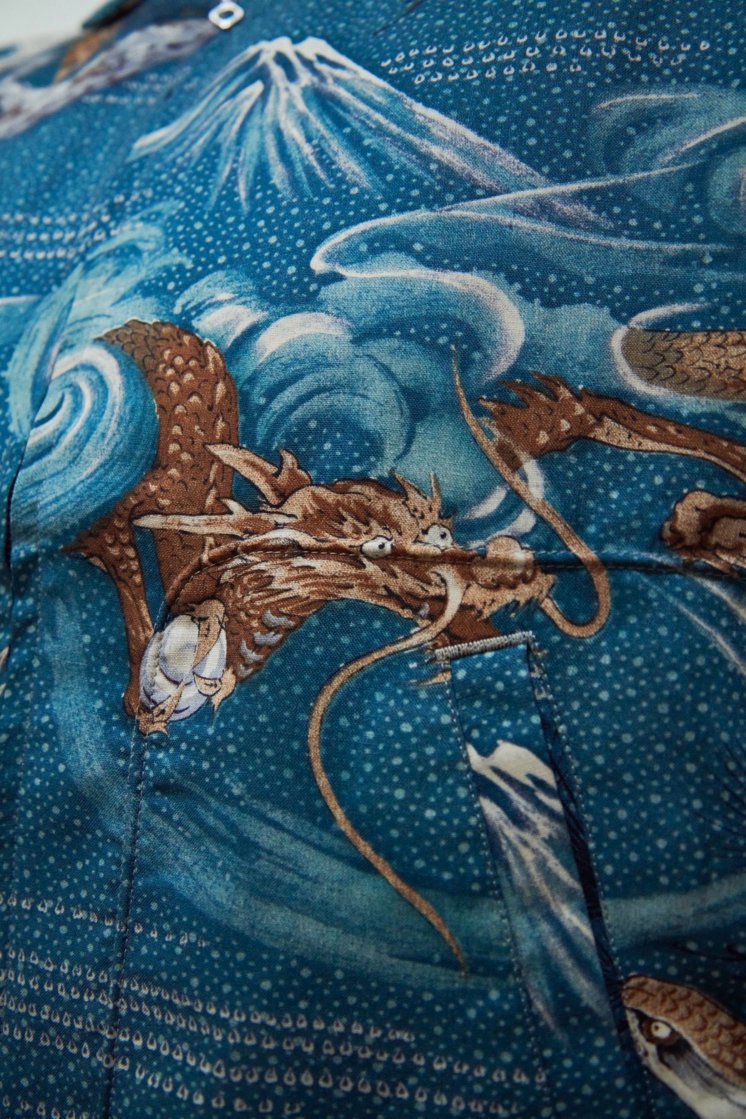 Dragon and Fuji